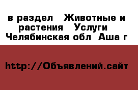  в раздел : Животные и растения » Услуги . Челябинская обл.,Аша г.